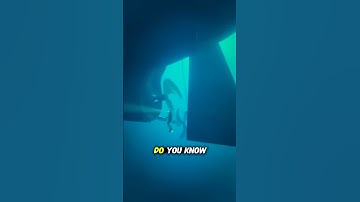 The amazing foldable propeller #fyp #knowledge