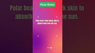 Fun General Knowledge for Kids! 🤓🌍 | Learn in Seconds! Set 38