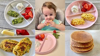 Freezer Friendly Baby Led Weaning Recipes - Prep Ahead!