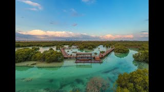 Jubail Mangrove Park Abu Dhabi