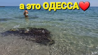 ОДЕССА ❤️ СЕГОДНЯ❗️МОРЕ ЖИВОЕ❗️ОН НАШЕЛСЯ❗️РЕЦЕПТ ИЗ ТОГО ЧТО БЫЛО❗️