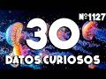 30 DATOS CURIOSOS y COSAS QUE NO SABÍAS ⏰😲 1127 #curiomaníatv