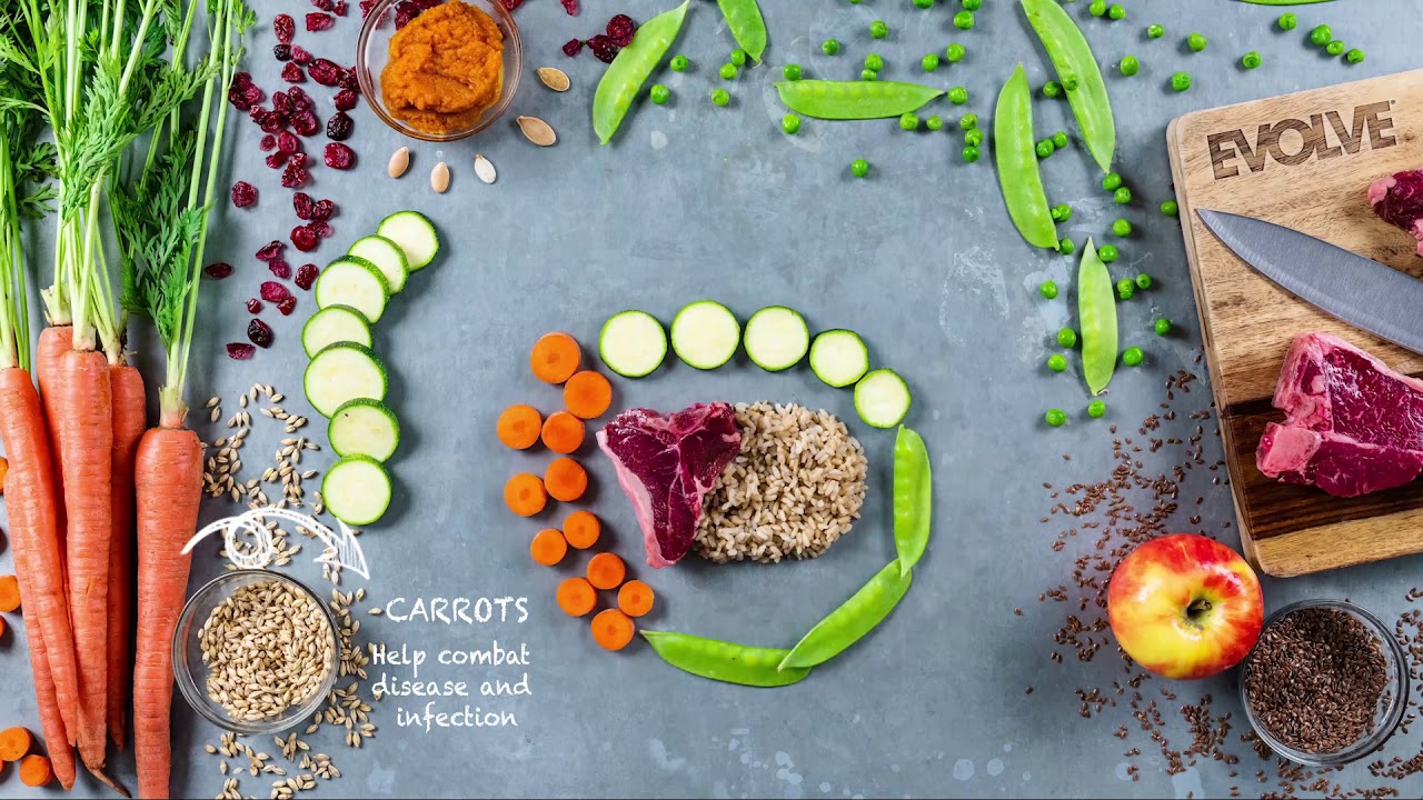 Evolve Classic Lamb and Brown Rice Recipe Dog Food YouTube