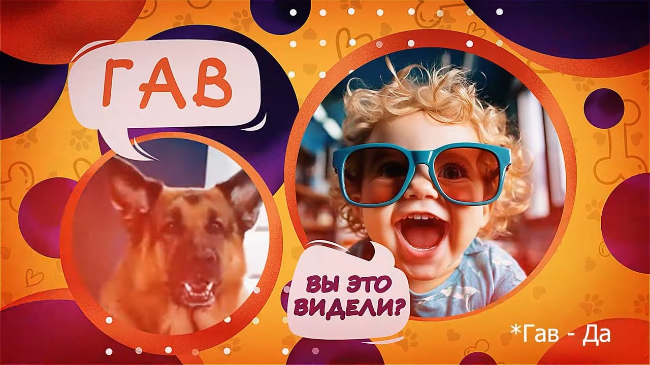 ВЫ ЭТО ВИДЕЛИ // Пилотный выпуск