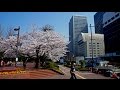 Walking in Tokyo