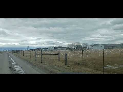 Crossing the Amish Territory - Grabill Indiana