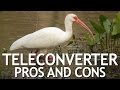 Teleconverter Pros and Cons