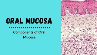 Components of oral mucosa | Oral Mucosa Oral Mucosa