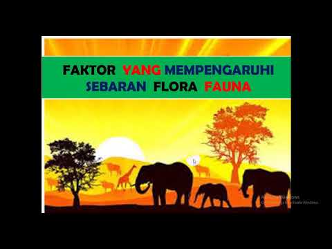 Geo Xi 8 Faktor Yang Mempengaruhi Sebaran Flora Fauna Youtube