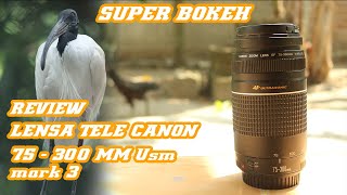 Review lensa tele canon murah super bokeh 75-300 mm usm mark |||