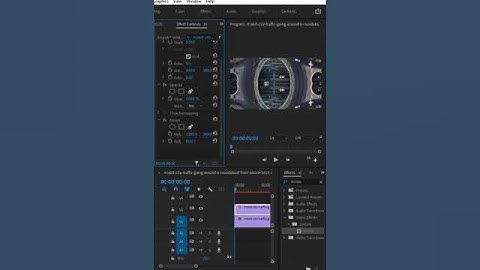 How To Create Mirror Effect In Premier Pro#shorts #tutorial