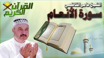 القرأن الكريم {سورة الأنعام} بصوت الشيخ عامر الكاظمي