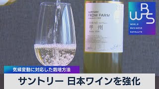 サントリー「日本ワイン」の新ブランド発表【WBS】（2022年6月8日）