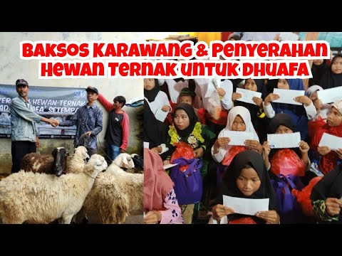 BAKSOS KARAWANG & Penyerahan Hewan Ternak Untuk Dhuafa ...