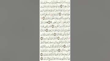 سورة النمل مكتوبة بصوت القارئ بلال دربالي souret alnamil