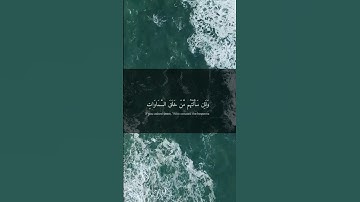 سورة العنكبوت - عبدالرحمن مسعد