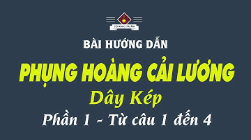 Bài hướng dẫn: PHỤNG HOÀNG CẢI LƯƠNG (1) | Dây Kép | Từ câu 1 đến 4 |  Cổ Nhạc Tri Âm