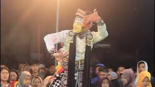 luwes banget tariannya KEMBANG JAGUNG teridola sewonosobo