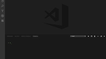 Flutter 中文教程：00-06-Flutter 在中国地区的特别设置（macOS）