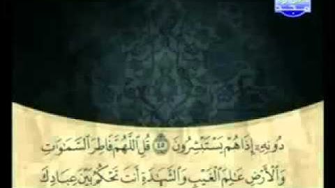 سورة الزمر , علي الحذيفي