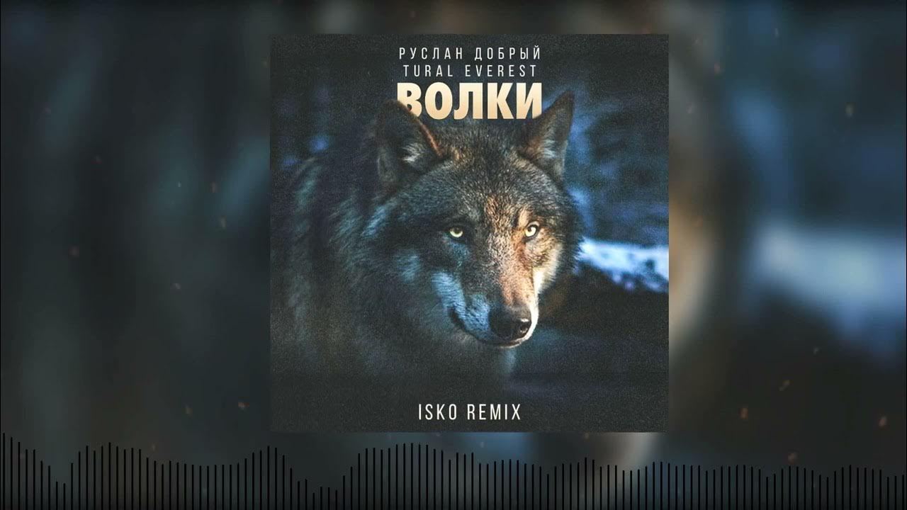 одиночный волк. руслан добрый tural everest волки. волки музыка ремикс. вон волка. руслан добрый tural everest добрый я.