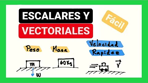 ¿Cuál es la magnitud de escalar?