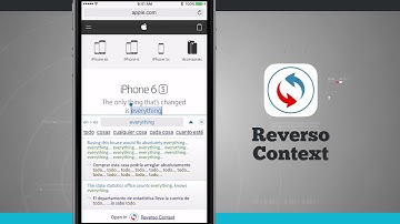 Reverso Context iPhone App Demo