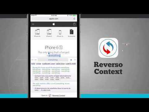 Reverso Context iPhone App Demo