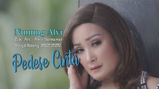 Nunung Alvi PEDESE CINTA (Official Music Video)