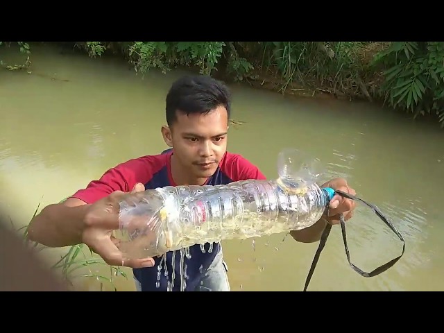 Umpan jitu perangkap udang pakek botol bekas class=