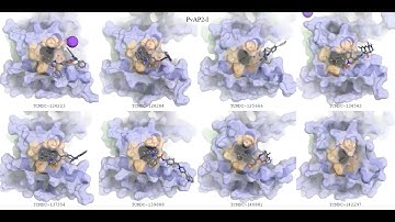 ACDC domain of ApiAP2