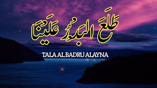 Tala Al Badru - Muad x Firas || tala al badru alayna (vocals only) || Nasheed || Halal Vibes