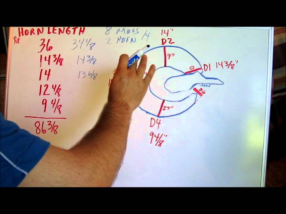 How to Score and Field Judge Desert Bighorn Sheep 2 by Colburn and