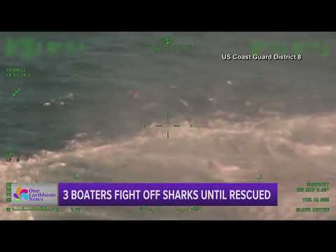 3 Boaters Fight off Sharks until Rescued