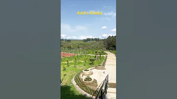 Addis Ababa Ademmohammedarba New Oromo Music 