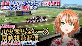 四条紅羽の配信のサムネイル画像