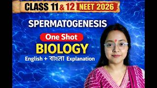 SPERMATOGENESIS Class12 | Step by Step Process | #neet2026 #class12biology #class11biology #ncert