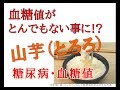 【血糖値】がとんでもない事に！？山芋（とろろ）で血糖値は？