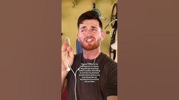 Punch with a snap 😁👊 #mma #martialarts #howto #boxing #fight