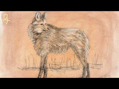 Drawing of a Maned Wolf with a Charcoal Pencil and Pastels