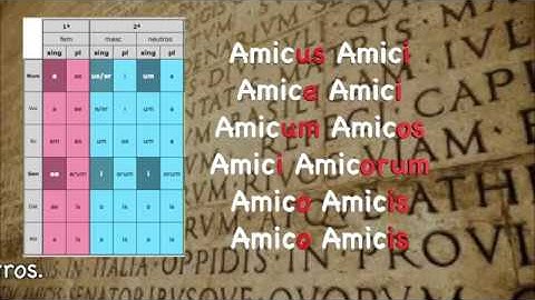 LAS DECLINACIONES. Formas de la 1ª y 2ª.