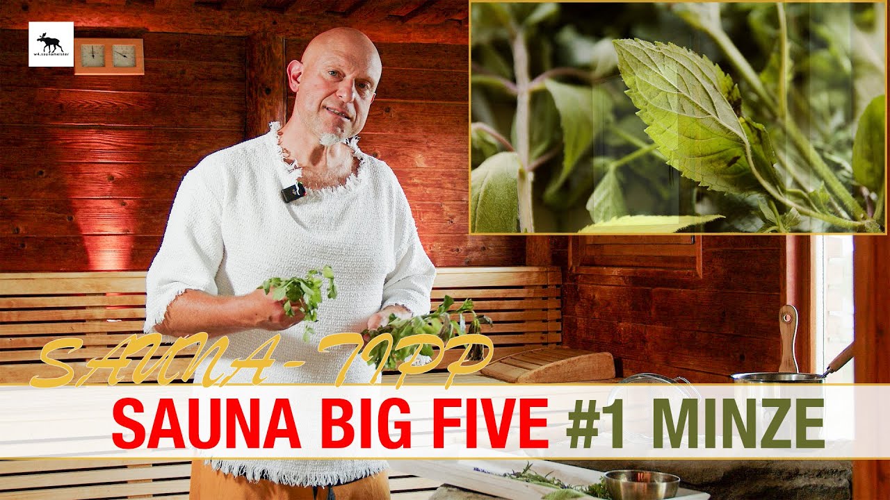 Die SAUNA BIG FIVE: #1 MINZE - So wirkt Menthol wirklich auf Körper und Nervensystem