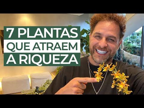 7 PLANTAS QUE ATRAEM A RIQUEZA | Daniel Atalla