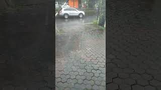 Story Wa Hujan Deras Tengah Hari  Stress Relief shorts