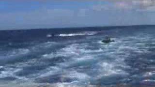 Soft Rail Launch screenshot 2