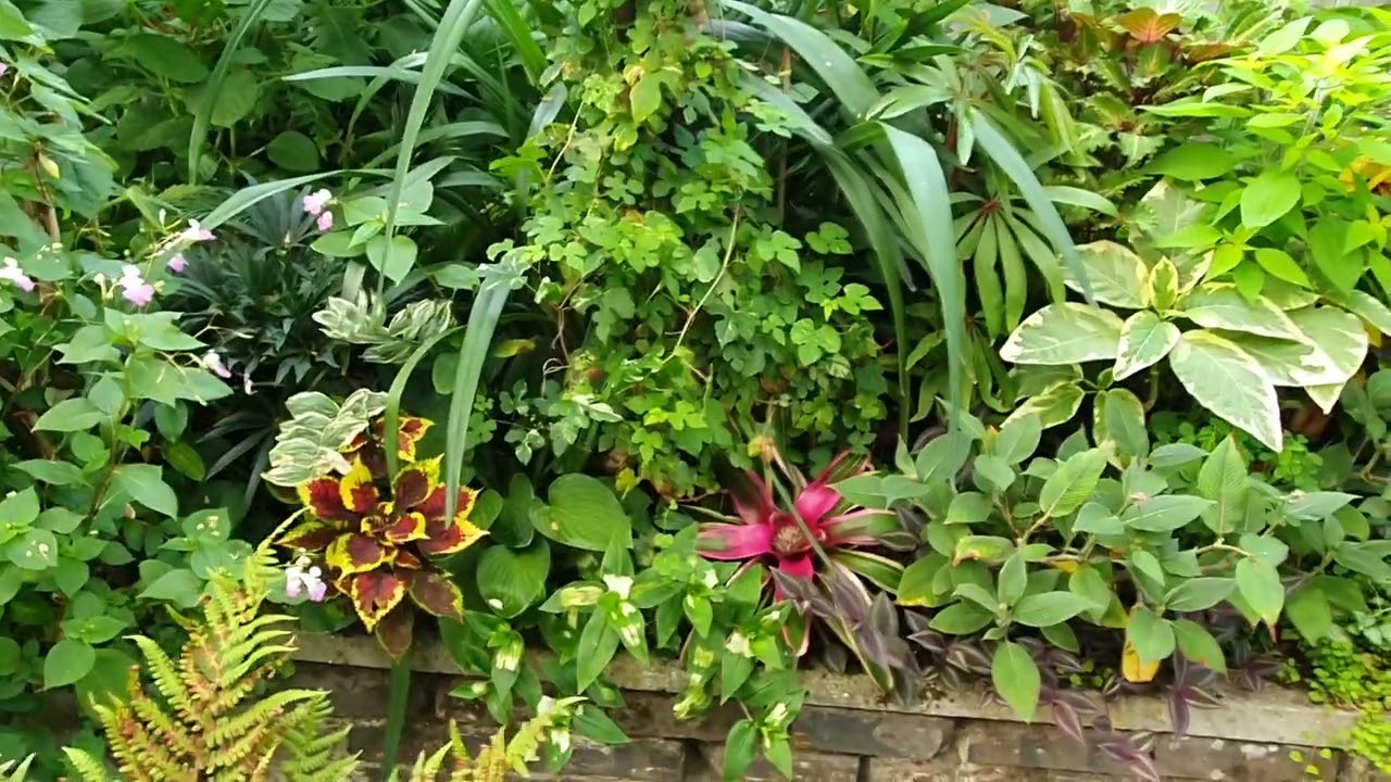 Hellesdon's Hidden Tropicanza part 2