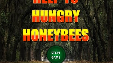 help to hungry honeybees video walkthrough