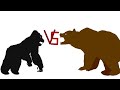 Dcba grizzly bear vs gorilla