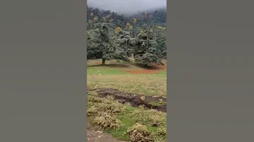 آخر اربع آيات من سورة المؤمنون بصوت القارئ الشيخ سعود الشريم أ ف ح س ب ت م أ ن م ا خ ل ق ن اك م 