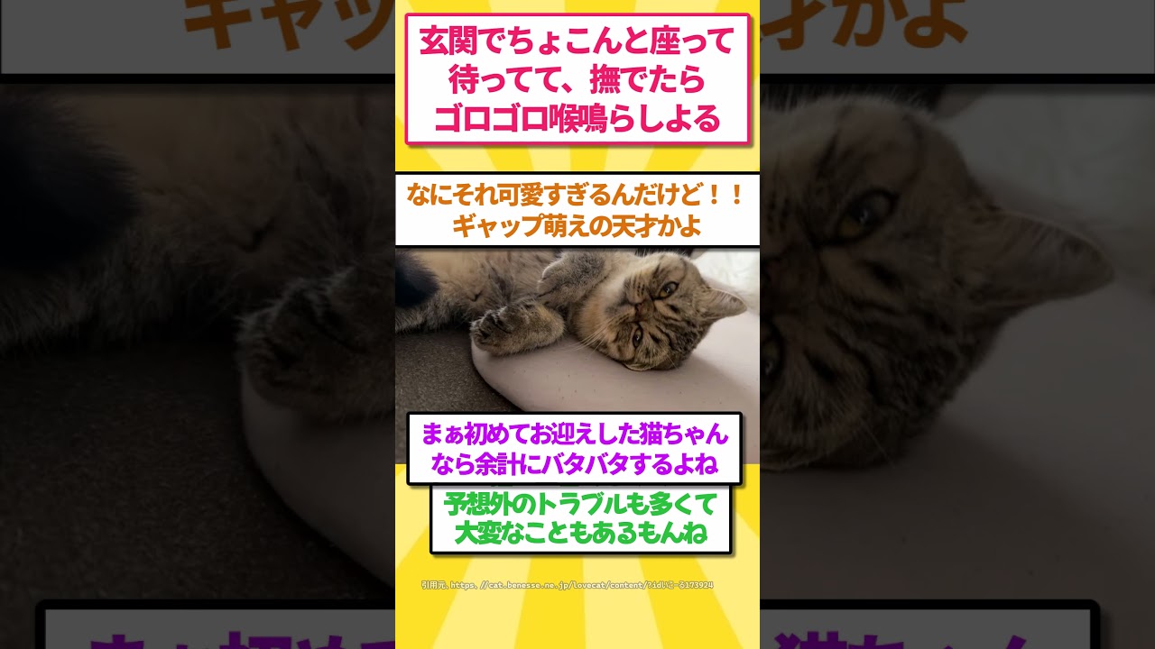 [後編]俺の家で最高に笑える事件が起きたんやけど #ゆっくり解説 #2ちゃんまとめ #2ch #2ちゃんまとめ #子ネコ #cat